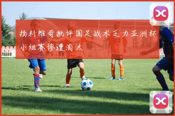 扬科维奇批评国足战术乏力亚洲杯小组赛惨遭淘汰